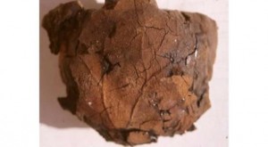egyptian-mummy-skull-brain-imprint