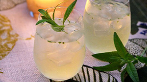 Lemon Verbena Gin and Tonic
