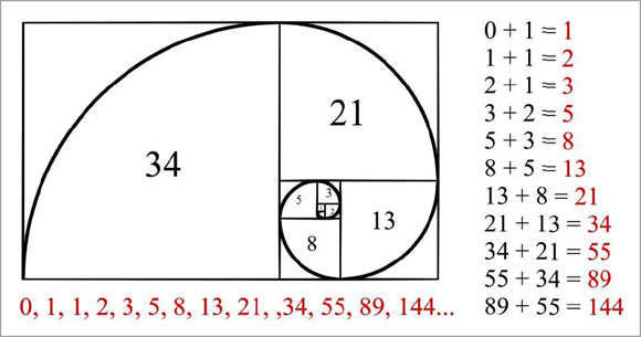 Image result for Fibonacci Sequence in Phi Ratio