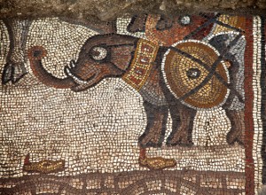 Detail, elephant mosaic, from the Huqoq Exploration Project, Jod