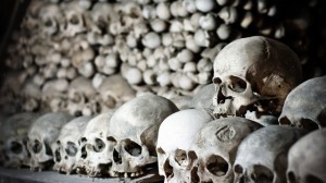 Skulls in an ossuary