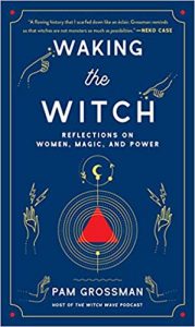 book cover of Waking the Witch