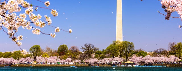 Washington Monument in Washington, DC