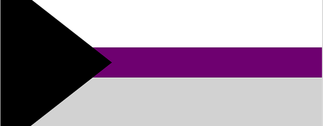 Demisexual Flag