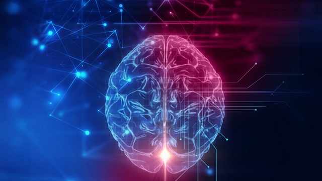 human brain on technology background