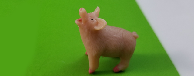 A toy pig