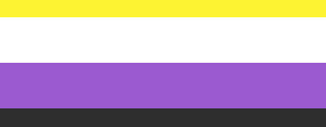 Nonbinary flag, horizontal stripes of yellow, white, purple, and black