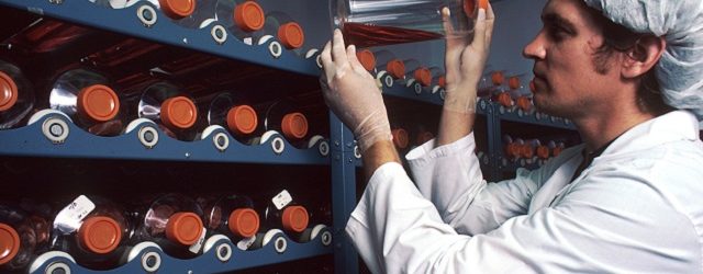 A medical researcher stores cell culture vials. Public domain image from cancer.gov