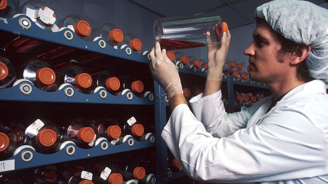 A medical researcher stores cell culture vials. Public domain image from cancer.gov