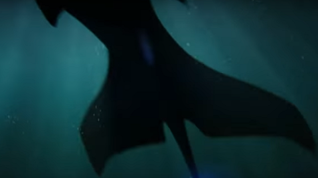 A mermaid tail seen under water